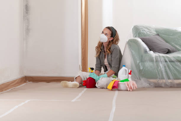Reliable Mold Remediation contractor in Georgia, GA by 24 Hour Mold Removal